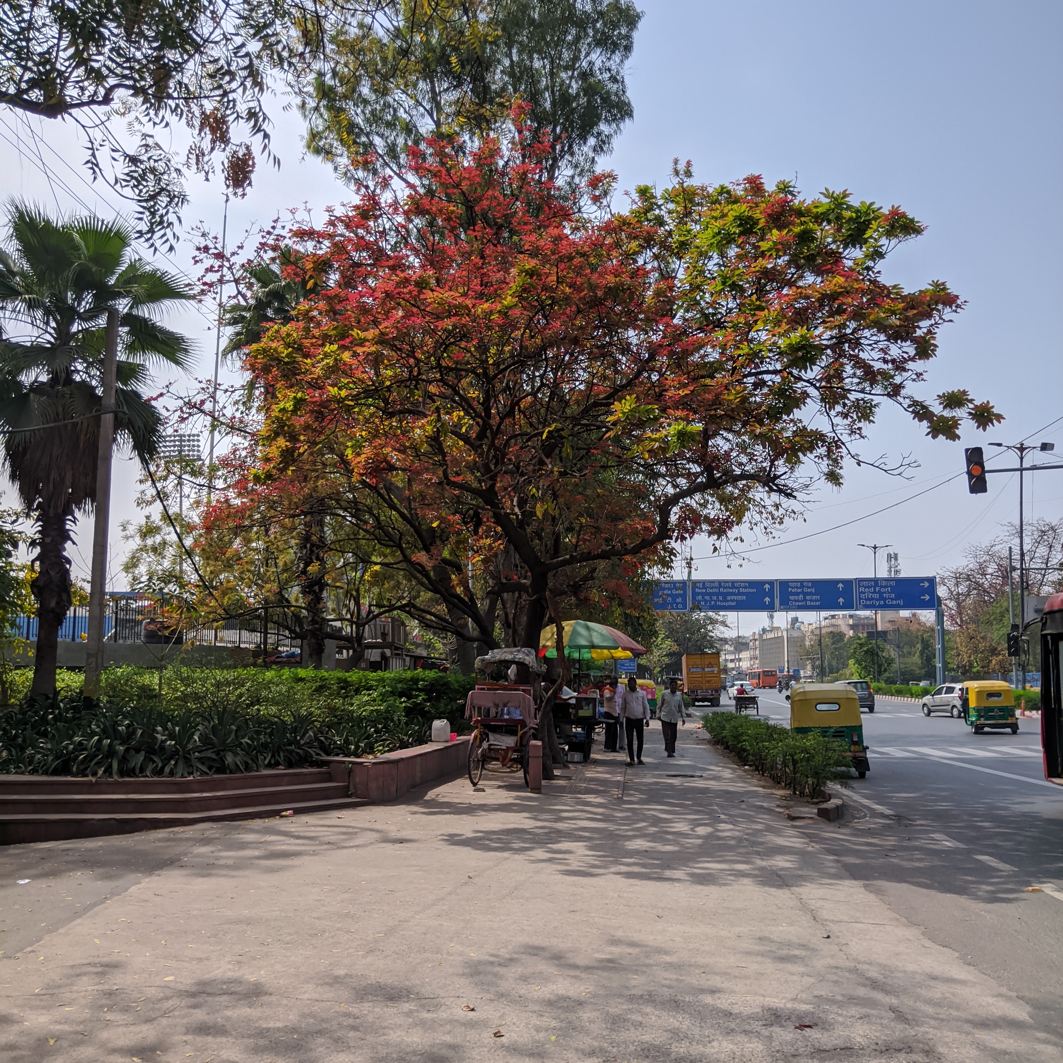 Nature photography